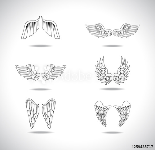 500x482 Wings Sketch Set Isolated On Gray Background Collection Of Hand