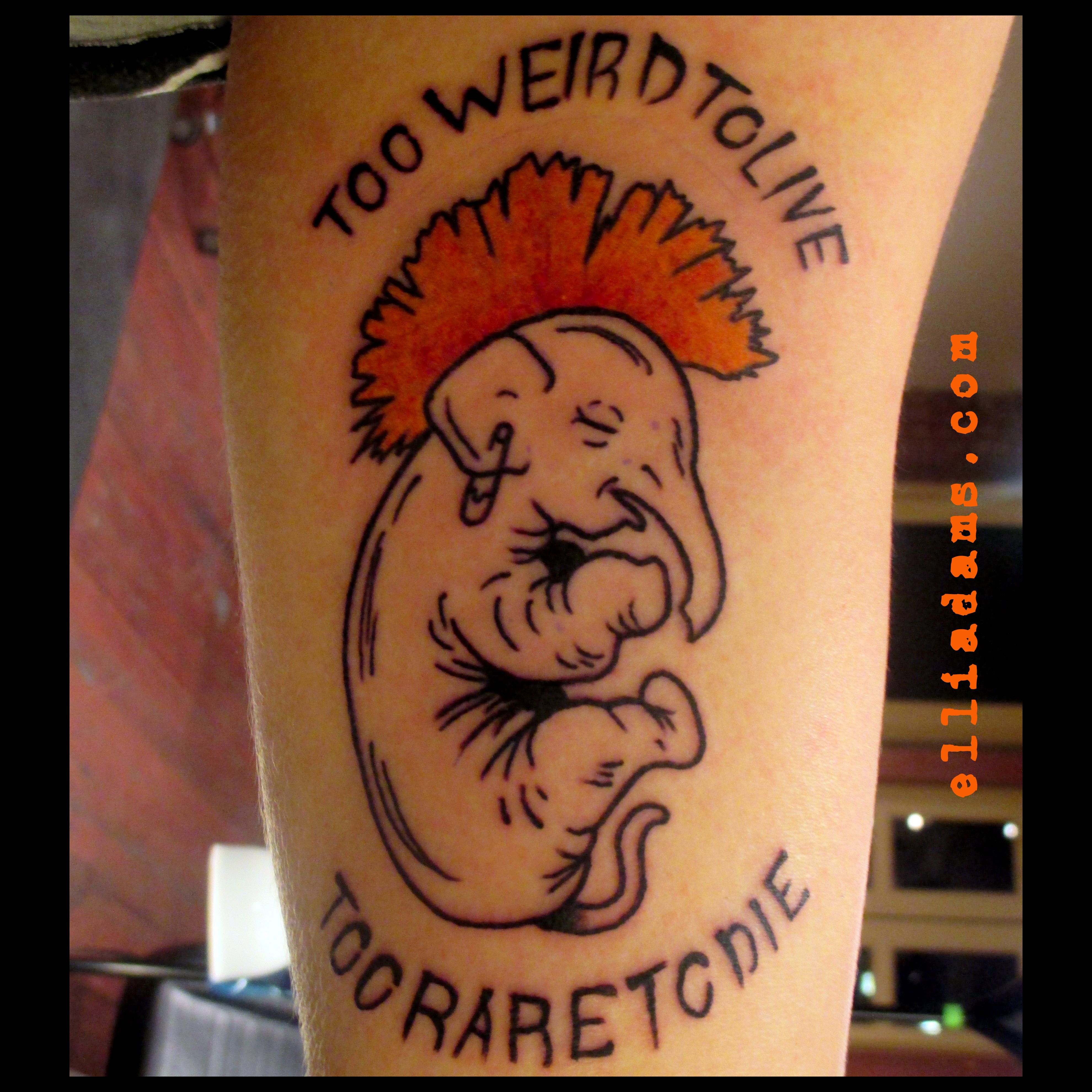 3960x3960 Super Fun Elephant Fetus Tattoo I Dod On A Friend Of Mine Icon