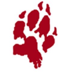 240x240 Bloody Wolf Tattoo Supply