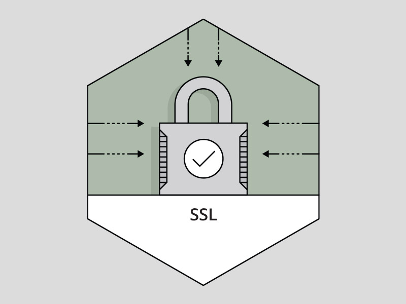 800x600 Ssl Icon