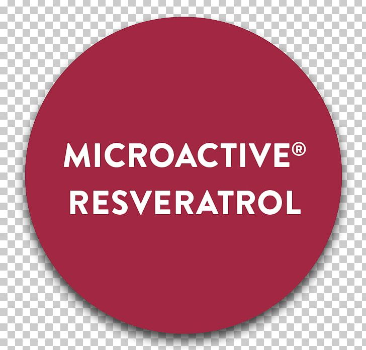 728x696 Auticon Service Information Technology Consulting Consultant Png