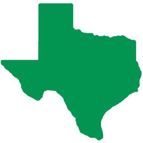 500x500 Texas Icon