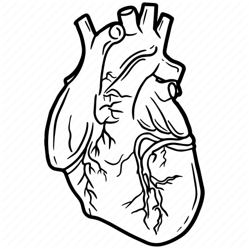 512x512 Coronary, Heart, Human, Organ, Pulse, Ticker Icon