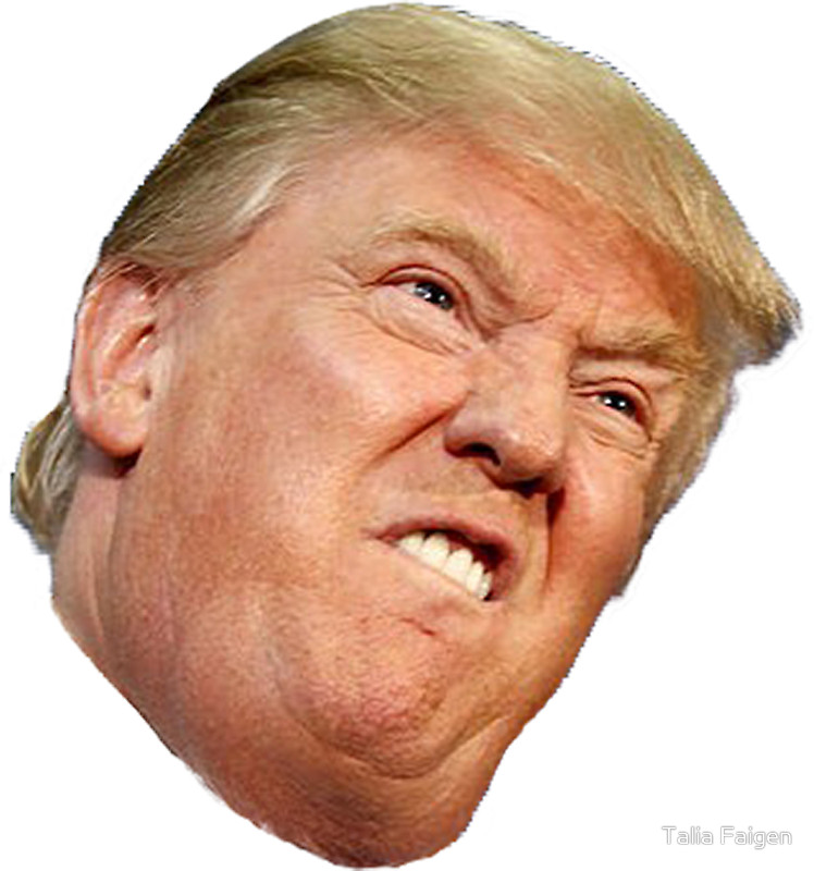 748x800 Trump Icon
