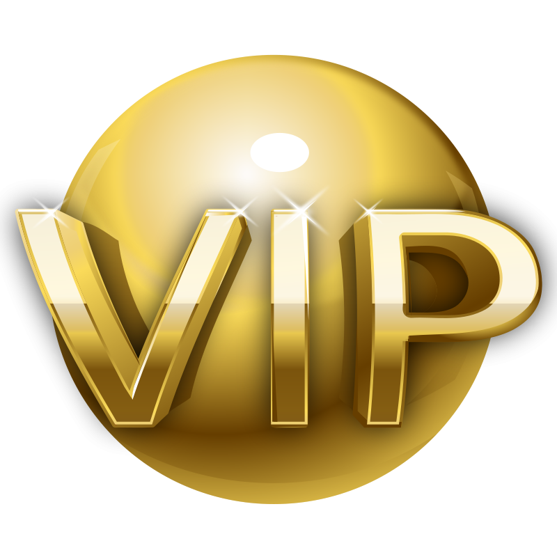 800x800 Icon, V I P Vip