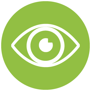 308x308 Vision Icon Green