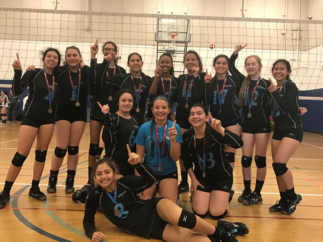 650x488 Lightning Take Home Gold Icon Volleyball Club