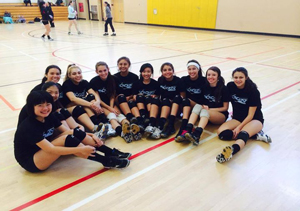 300x211 Announcement Icon Volleyball Club