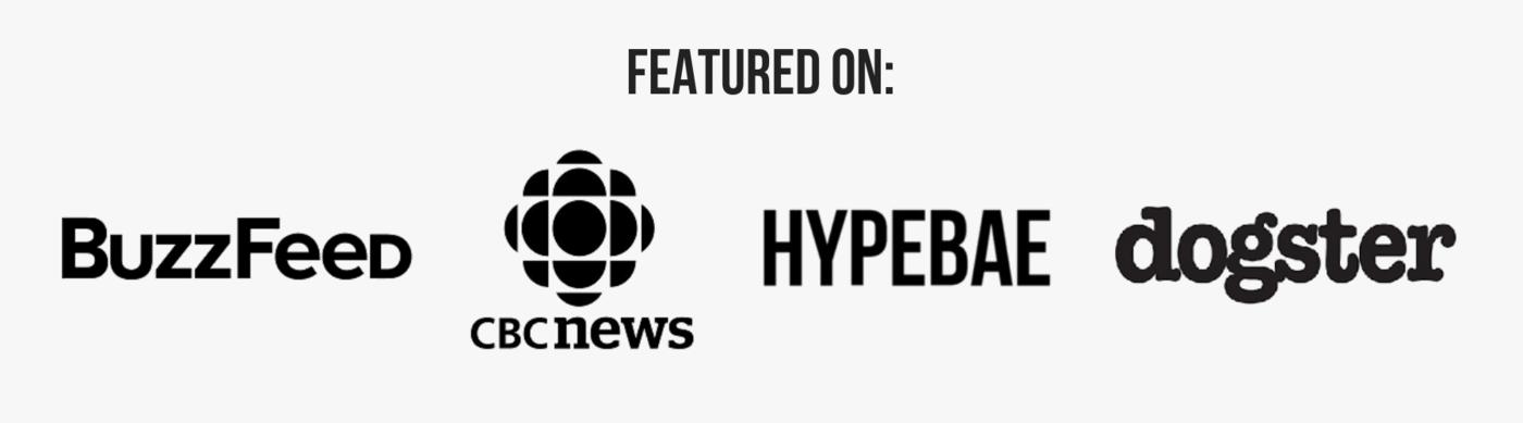 1400x389 Icon Dogwear Streetwear For Dogs Hypebeast Dog Clothes