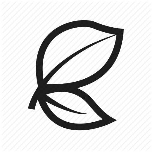 512x512 Leaf, Spa, Wellness Icon