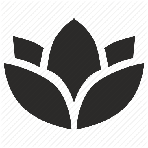 512x512 Flower, Orchid, Spa, Wellness Icon