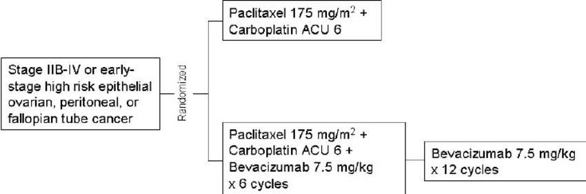 850x281 Schema The Last Trial Is