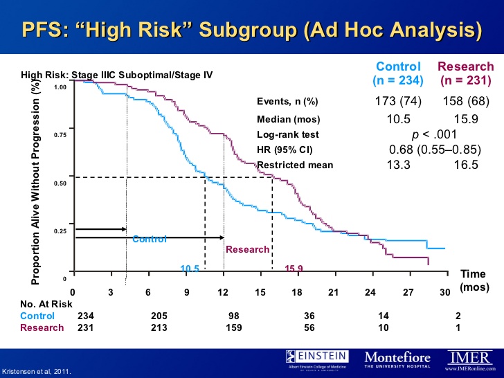 728x546 The Future Of Antiangiogenic Therapies In Ovarian Cancer A Series