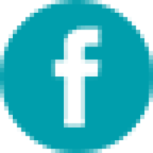 300x300 Icone Facebook