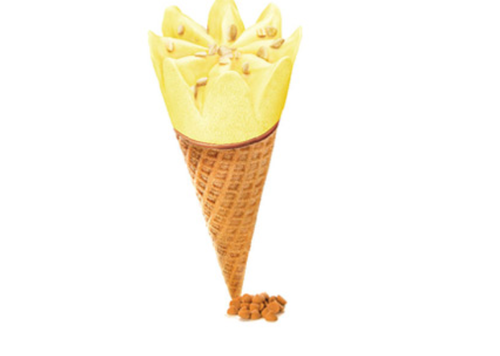 Arun Butterscotch Regular Icone Ice Creams 500x356 Arun Butterscotch Regular Icone Ice Creams