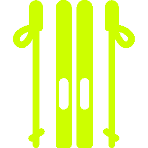 300x300 Icone Ski Jaune Vert Nicolas Sport Morzine