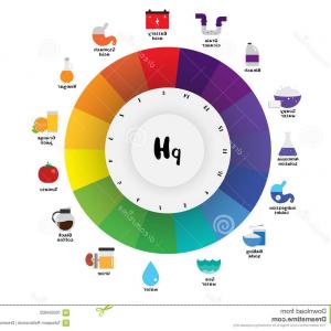 300x300 Calorie Scale Thin Line Icon Fitness Scale Vector Illustration
