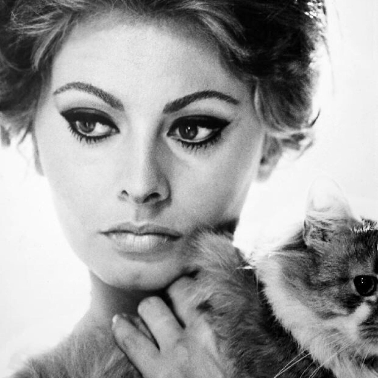 1252x1252 Iconic Women