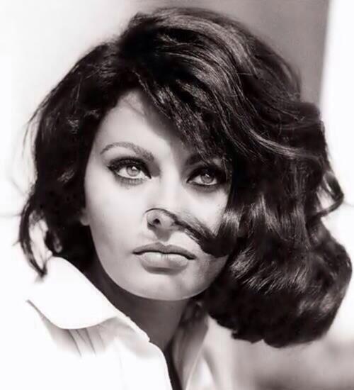 500x550 Iconic Women On Twitter Sophia Loren