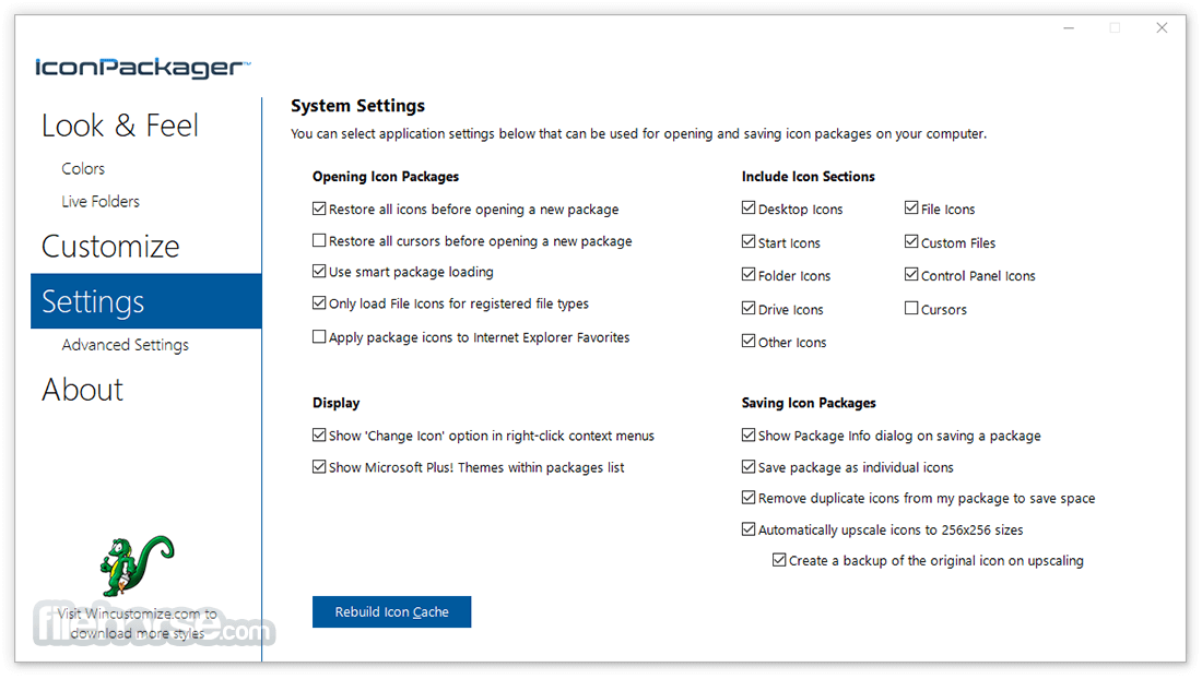 1100x622 Iconpackager Download