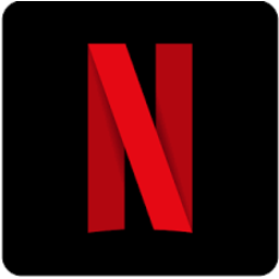 256x256 Netflix Icon Download
