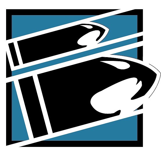 554x525 Rainbow Six Icon