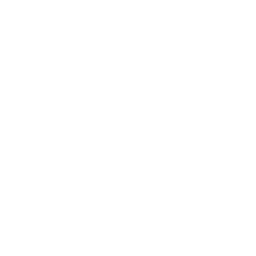 256x256 Free White Icq Icon