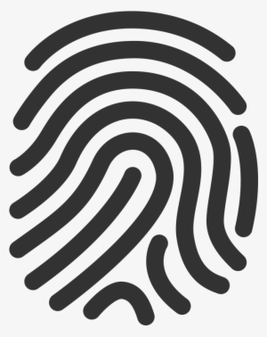 300x378 Fingerprint Icon Png, Transparent Fingerprint Icon Png Image Free