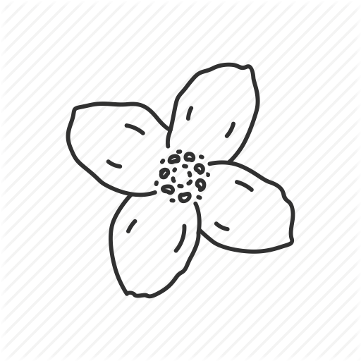 512x512 Flower, Idaho, State, State Flower, State Symbol, Syringa, Usa Icon