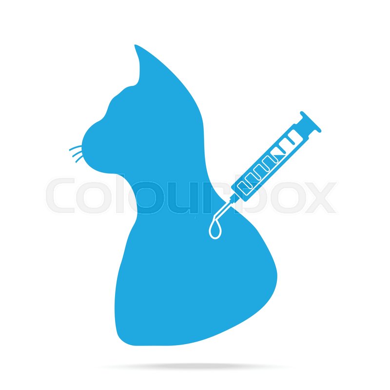 800x800 Cat Vaccine To Prevent Illness Icon, Stock Vector Colourbox
