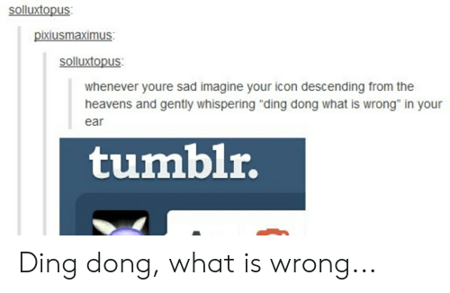 500x326 Solluxtopus Pixiusmaximus Solluxtopus Whenever Youre Sad Imagine