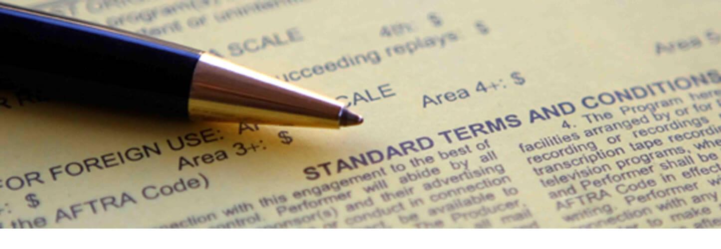 1446x500 Imicon Terms Conditions