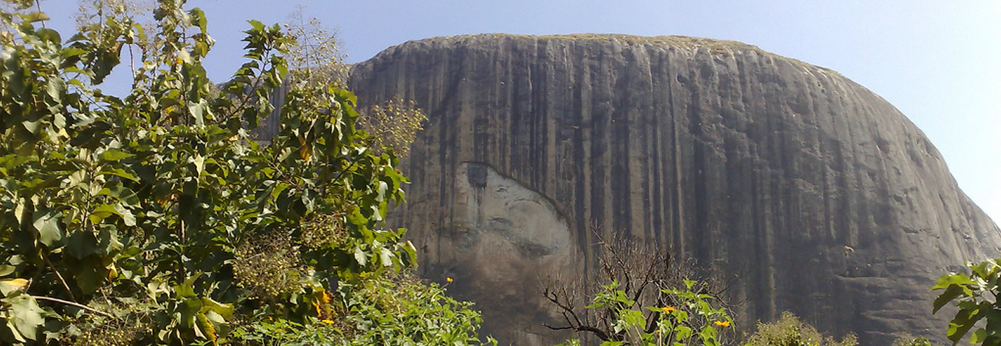 1446x500 Sponsor Imicon Bg