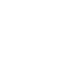 256x256 Disable Hiding