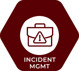 263x235 Incident Management Global Workforce