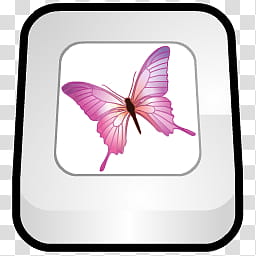 256x256 Wannabed Dock Icon Age, Adobe Indesign, Pink Butterfly Transparent