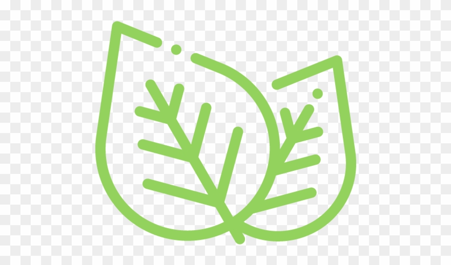 880x518 The Right Ingredients