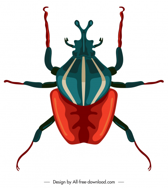 536x600 Beetle Insect Icon Colored Closeup Symmetric Design Free Vector
