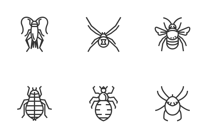 Insect Icon at Vectorified.com | Collection of Insect Icon free for ...