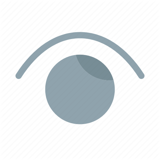 512x512 Eye, Twitter, View, Watch Icon
