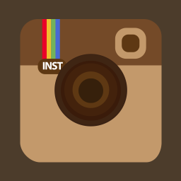 256x256 Instagram Flat Icon Download Flat Add On Icons Iconspedia
