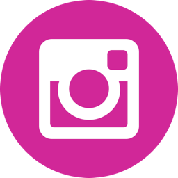 256x256 Instagram Follow Button Add The Instagram Button To Your Website