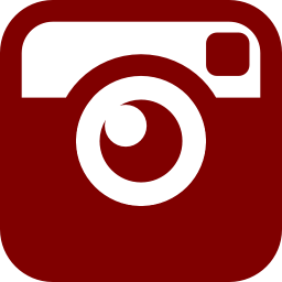 256x256 Free Maroon Instagram Icon