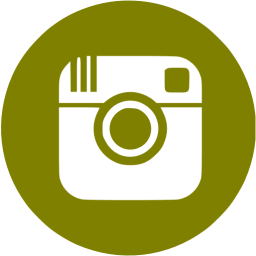 256x256 Olive Instagram Icon