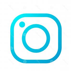 300x300 Camera Vector Icon Instagram Social Media Wallkeeper