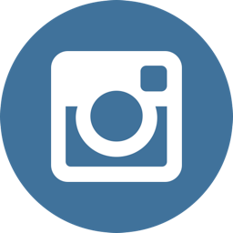 256x256 Instagram Icon Flat