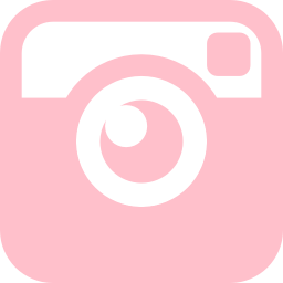 256x256 Free Pink Instagram Icon