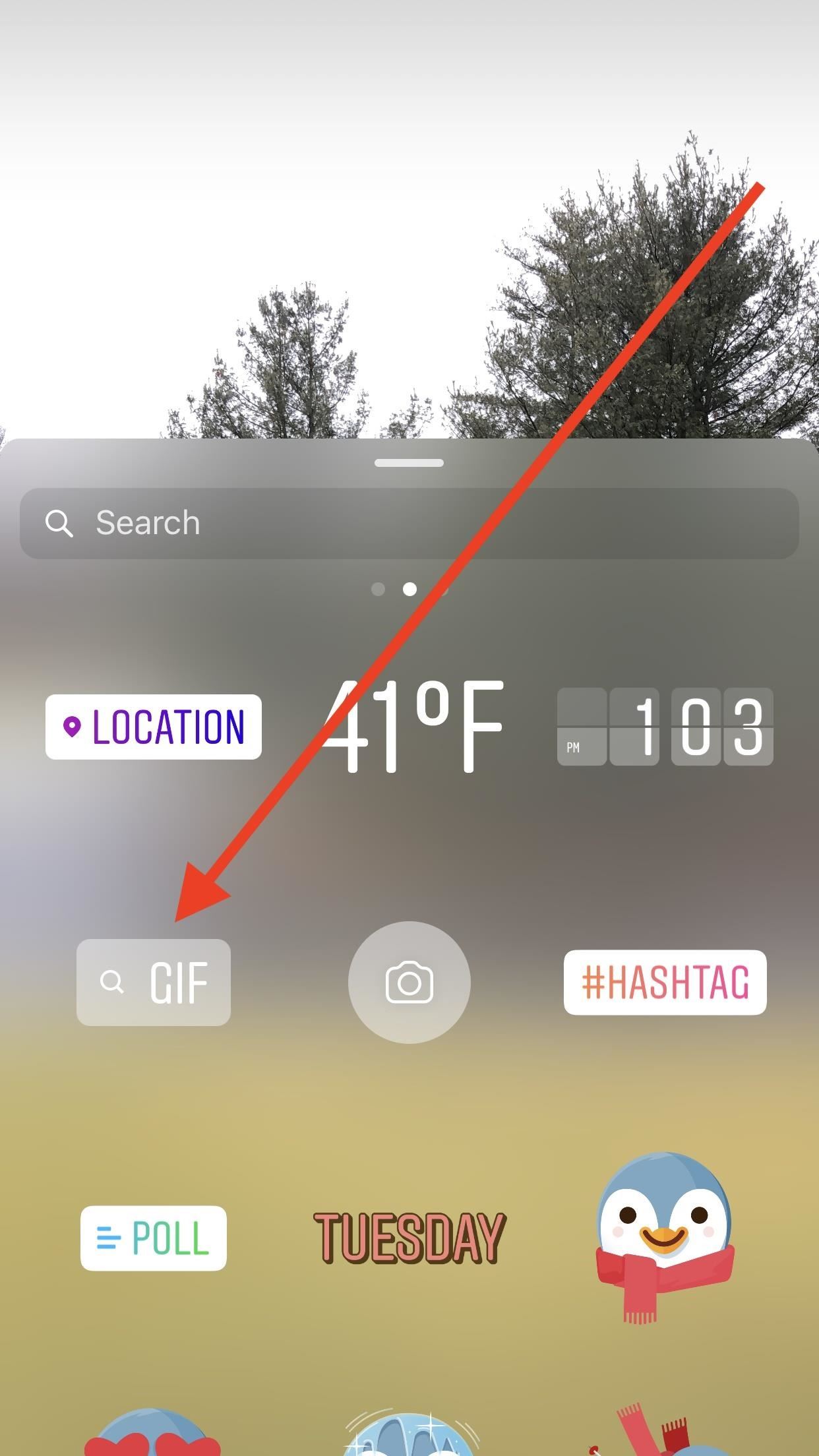 1242x2208 Instagram How To Add Animated Gifs To Your Stories