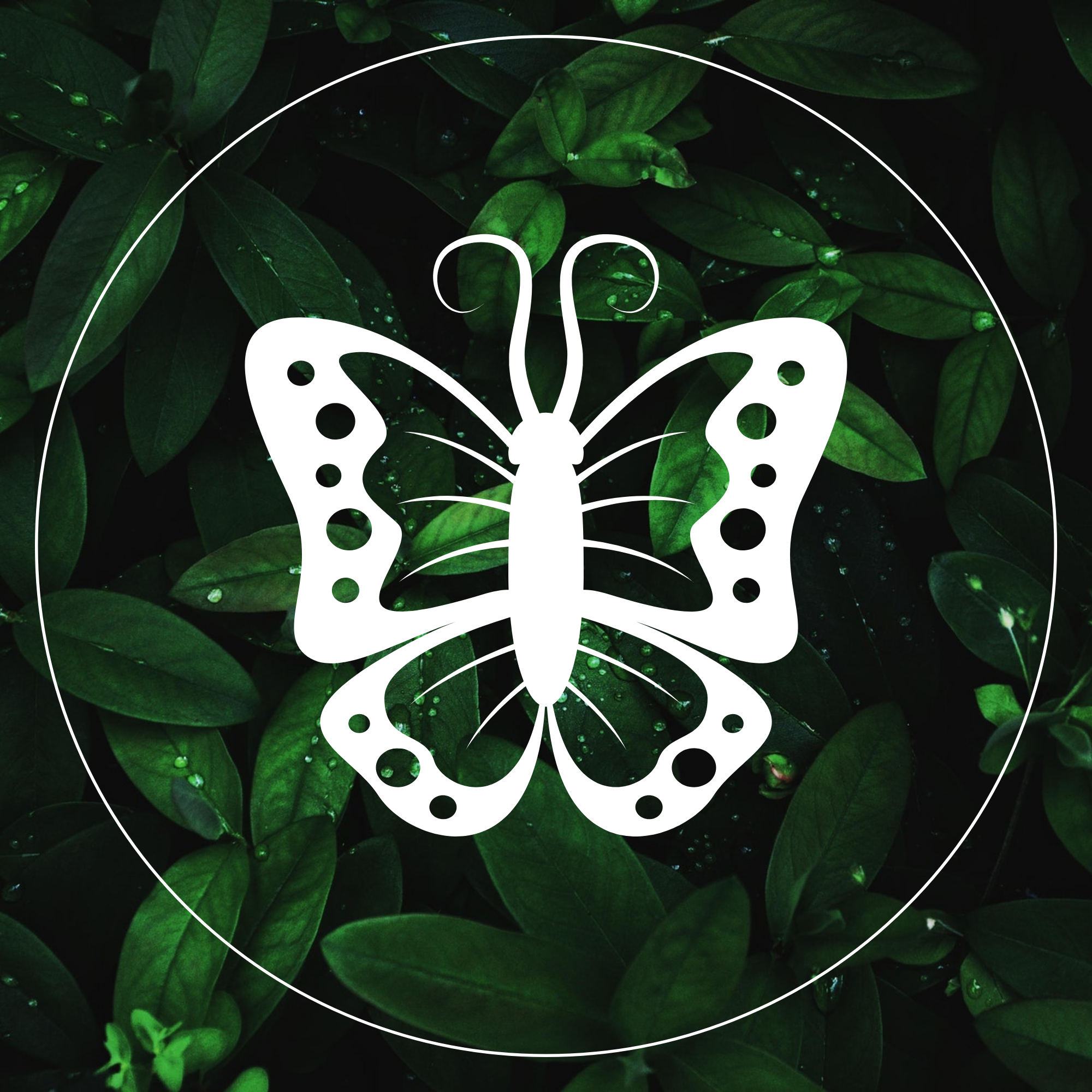 2000x2000 Story Template Instagram Story Highlight Cover Icon Maker