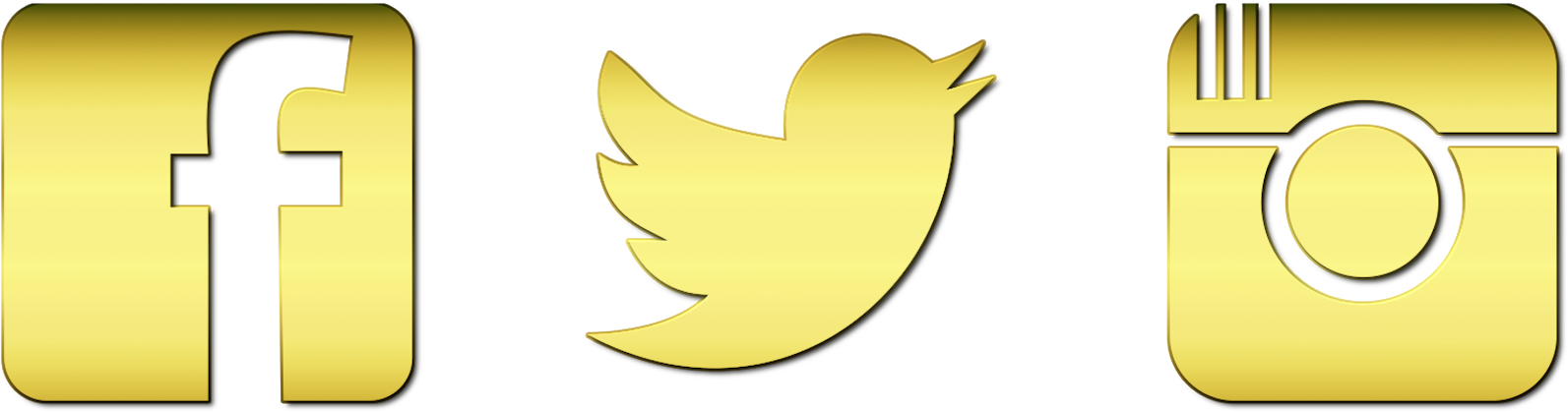 1593x419 Instagram Icon Transparent Background Png